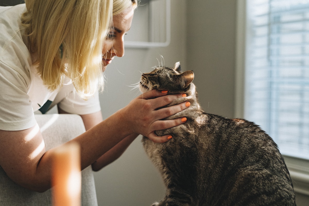 La santé préventive : la meilleure protection pour votre animal